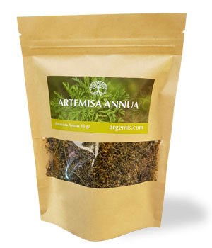 Artemisa annua 100gr (agotado hasta octubre)
